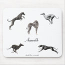 Suche nach souris Maus