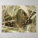 Suche nach natur fotos poster Inspirierend