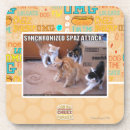 Suche nach angriff untersetzer Ich kann habe cheezburger