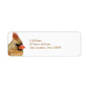 Suche nach liedvogel andere Rot