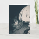 Suche nach stimmung karten Katze