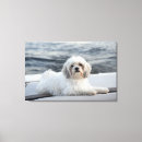 Suche nach schauen leinwandbilder Horizontal