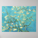 Suche nach blühender mandelbaum poster Vincent van gogh
