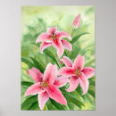 Suche nach stargazer lilie poster Blüten