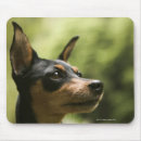 Suche nach wachsamkeit mousepads Tag