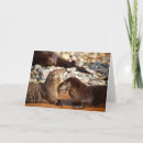 Suche nach flussotter karten Tiere