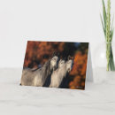 Suche nach graues pferd karten Stehend