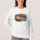 Suche nach der arno tshirts Italien