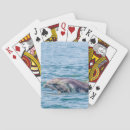 Suche nach delphin spielkarten Natur