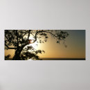 Suche nach heiliger baum poster Urlaub