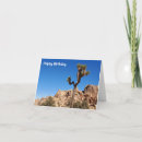 Suche nach joshua tree karten California