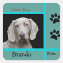 Suche nach weimaraner hund aufkleber Haustier