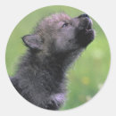 Suche nach niedlicher wolf aufkleber Heulen