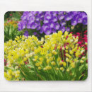 Suche nach bündel mousepads Pflanze