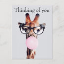 Suche nach babytier postkarten Giraffe