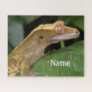 Suche nach gecko puzzle Wild