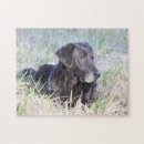 Suche nach schwarzer labrador puzzle Retriever