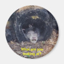 Suche nach primate magnete Natur