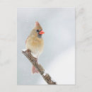 Suche nach schnee foto postkarten Winter