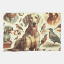 Suche nach weimaraner geschirr tücher Welpe