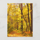 Suche nach schöne landschaft postkarten Herbst