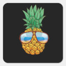 Suche nach hawaii ananas aufkleber Sommer