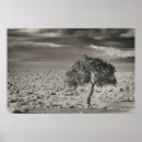 Suche nach 2 bäume poster Pflanze