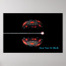 Suche nach atom poster Physik