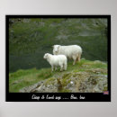 Suche nach schäfer poster Schafe