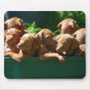 Suche nach sie sind mein sonnenschein mousepads Tag