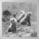 Suche nach kneipe poster Tiere