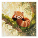 Suche nach roter panda poster Süß