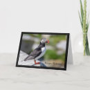 Suche nach puffin karten Tierwelt