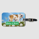 Suche nach stierhund accessoires Witzig
