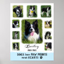 Suche nach weißer hund poster Hunde