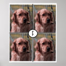 Suche nach weihnachten poster Fotos