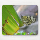 Suche nach nymphen mousepads Schmetterling