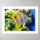 Suche nach gelbe fische poster Natur