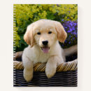 Suche nach golden retriever kleine notizbücher Retriefe