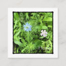 Suche nach hoffnung visitenkarten Blume