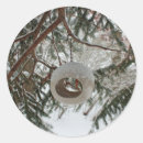 Suche nach vogel im winter aufkleber Natur