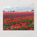 Suche nach waldbrand postkarten Natur