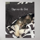 Suche nach schlafender poster Für alle