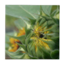 Suche nach sonnenblumen fliesen Für sie