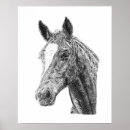 Suche nach pferdekopf poster Jede person