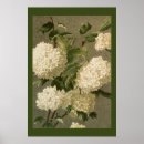 Suche nach hydrangea blume poster Jede person