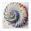 Suche nach nautilus muschel fliesen Meer