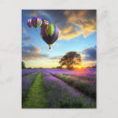 Suche nach lila himmel postkarten Landschaftlich