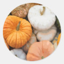 Suche nach gourdes Orange