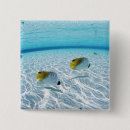 Suche nach unterwasser buttons Horizontal